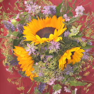 Blumenstrauß mit Sonnenblumen, Hintergrund in Bordeauxrot Blumenstrauß mit Sonnenblumen, Hintergrund in Bordeauxrot